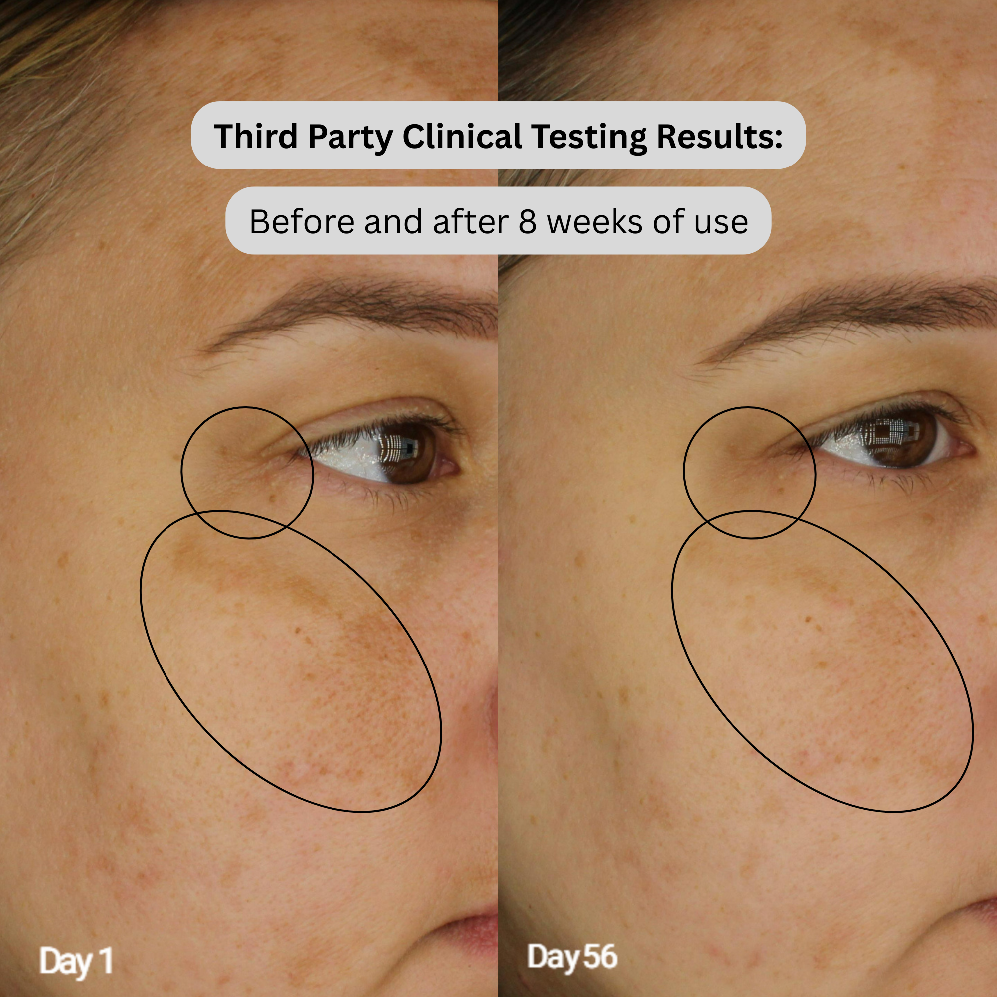 Marine Antioxidant Serum