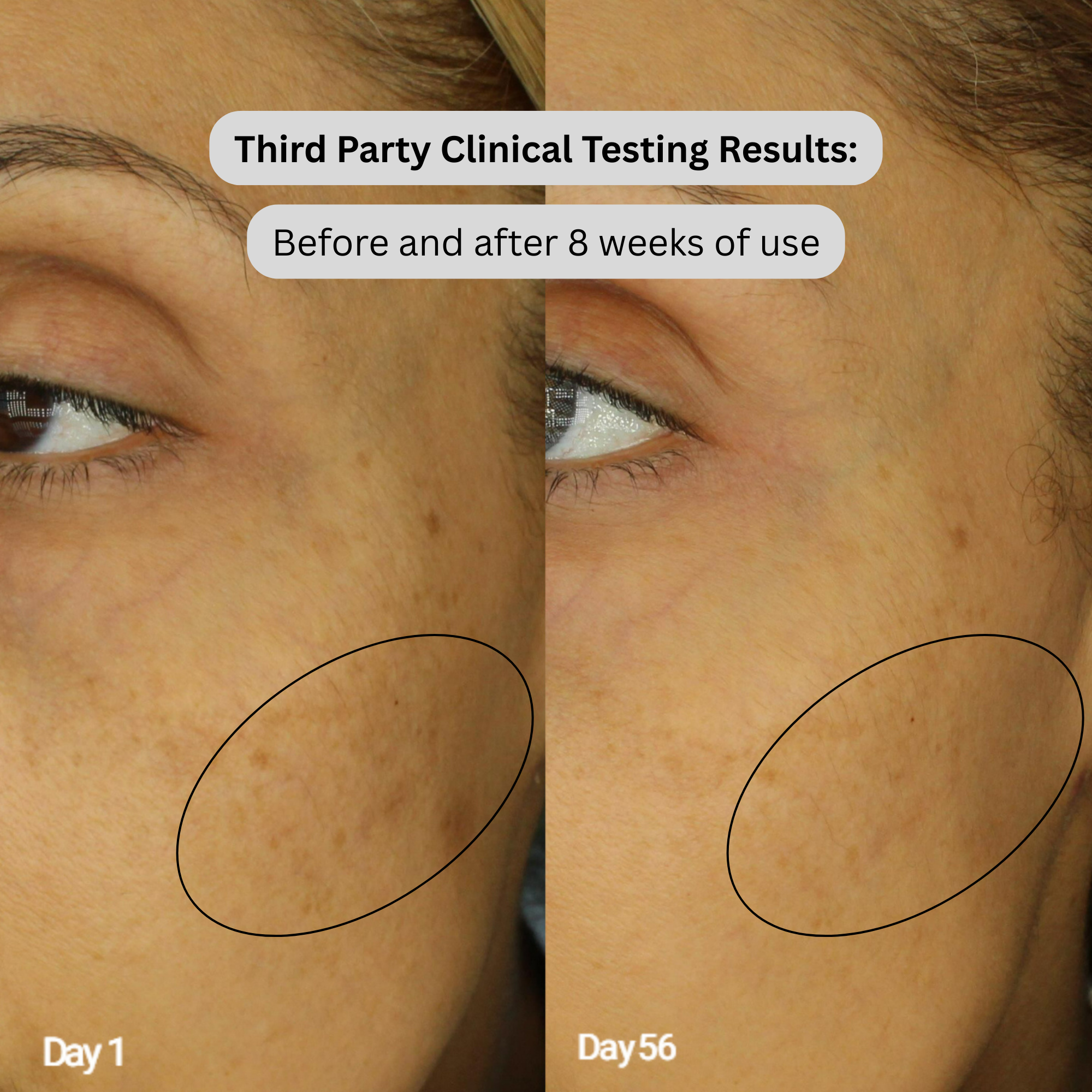 Marine Antioxidant Serum